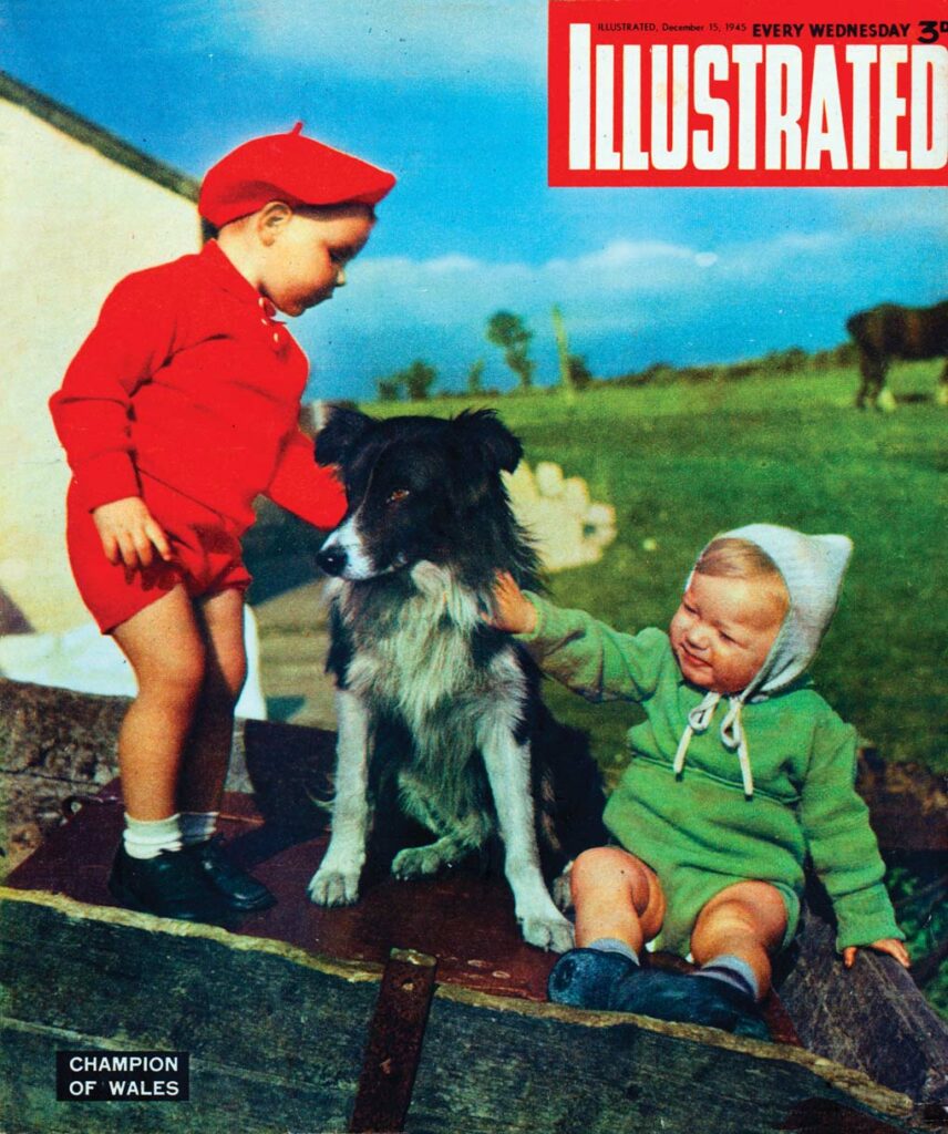 magazine illustré deuxième guerre mondiale opération école de détectives conférence sur les chiens maigres Norvège