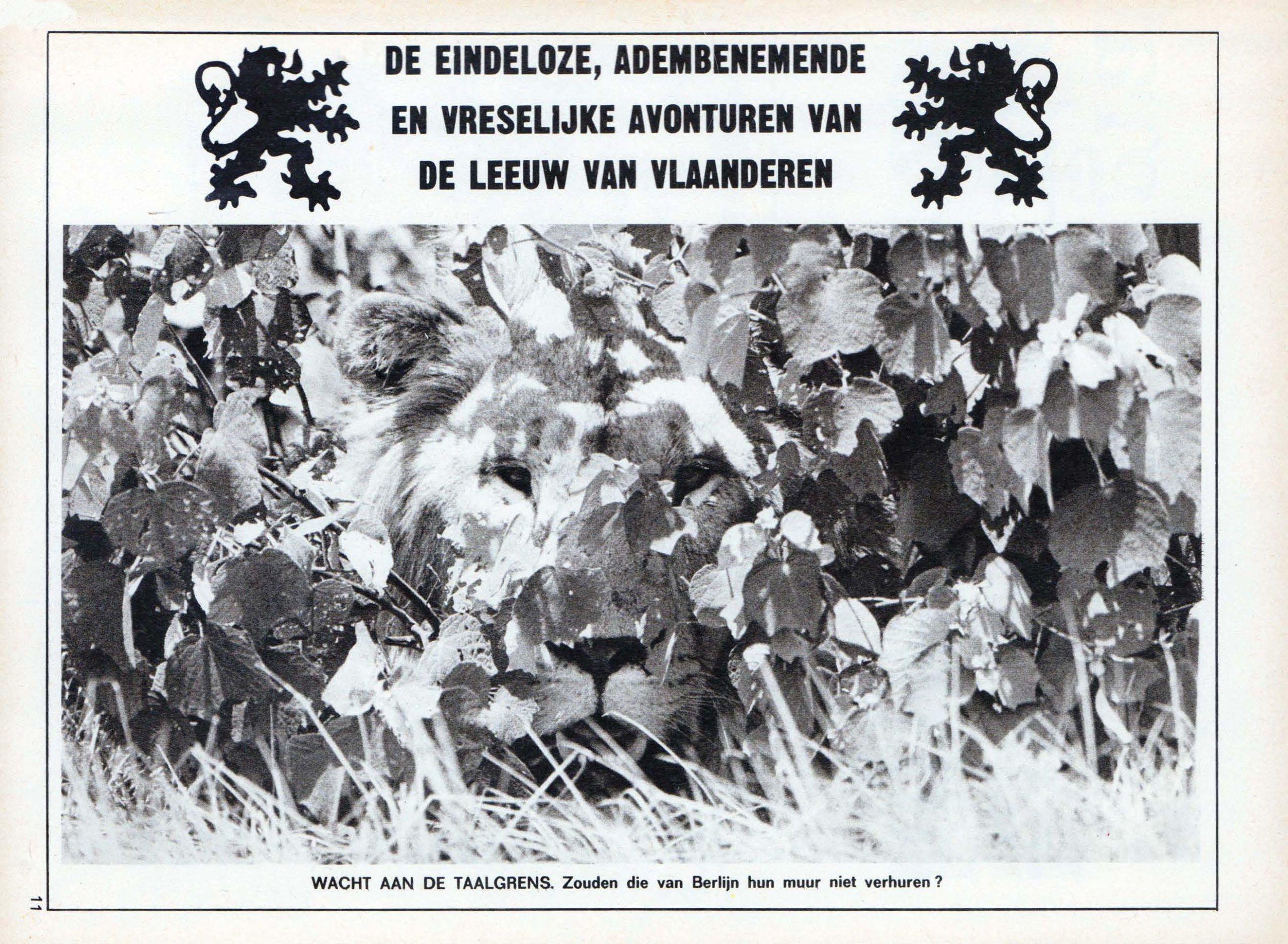 panorama der löwe von flandern